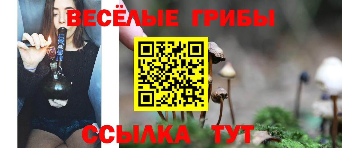 Галлюциногенные грибы GOLDEN TEACHER Кольчугино